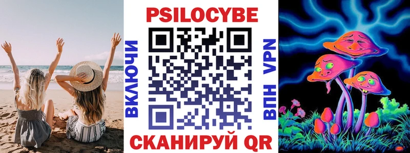 Галлюциногенные грибы Cubensis Купить где Дорогобуж